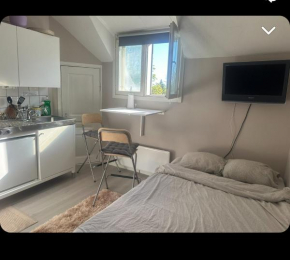 Yksiö lähellä Kupittaa Rautatieasemaa Turku, Turku